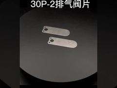 Piezas mecánicas modificadas para requisitos particulares del servicio que sellan la placa de la válvula de las piezas