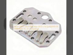 Conjunto de placa de válvulas Bitzer S4BCF (58.0)-LP(6.5), 304069-08, 818601B para compresor de aire acondicionado