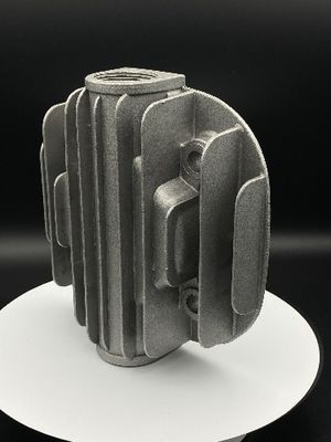 Superficie lisa/áspera del moldeo a presión de acero inoxidable modificado para requisitos particulares del metal
