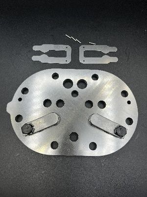 Placa modificada para requisitos particulares de la válvula del compresor con de medida adaptable y grueso