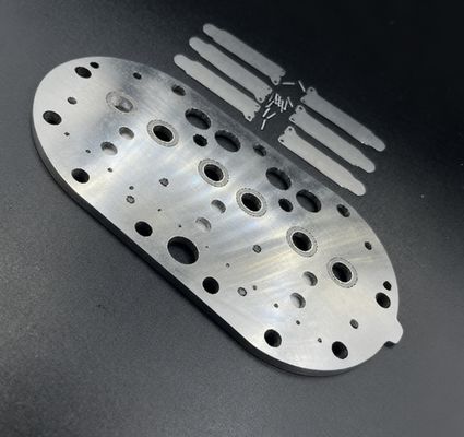 15P Copeland Refrigeration Compressor Valve Plate Assembly & Valve Reeds para el congelador de almacenamiento en frío